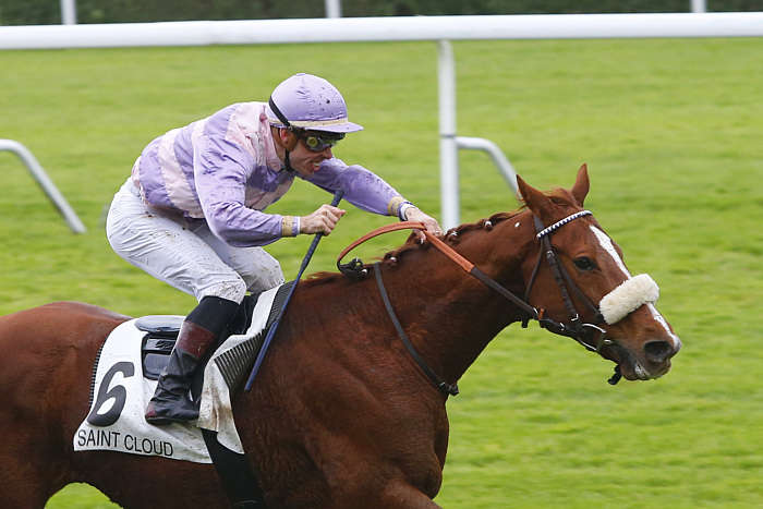 Pronostic Quinté du Jeudi 16 Octobre 2025