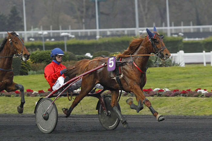 Pronostic Quinté du Vendredi 17 Octobre 2025