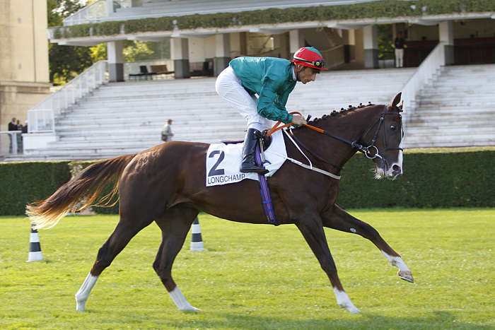 Pronostic Quinté du Dimanche 19 Octobre 2025