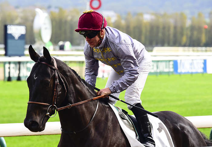 Pronostic Quinté du Lundi 20 Octobre 2025