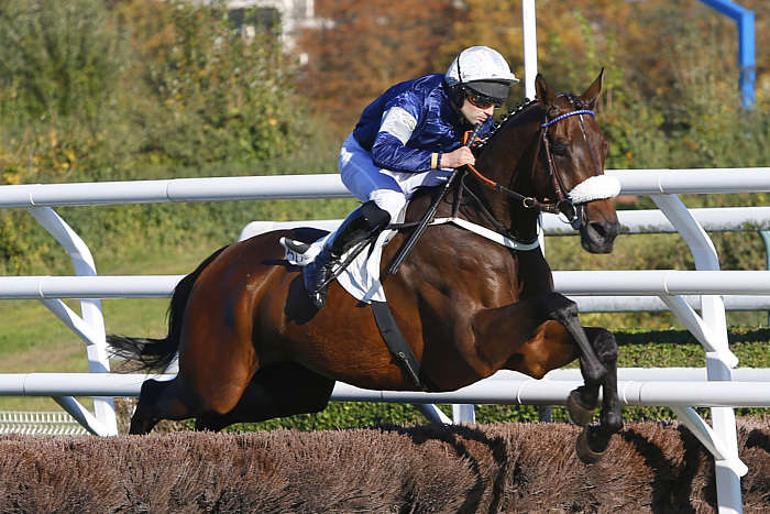 Pronostic Quinté du Jeudi 23 Octobre 2025