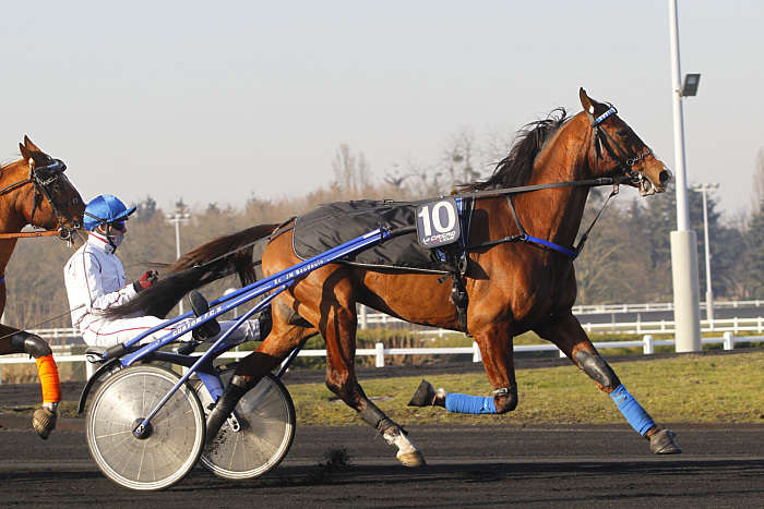 Pronostic Quinté du Vendredi 24 Octobre 2025