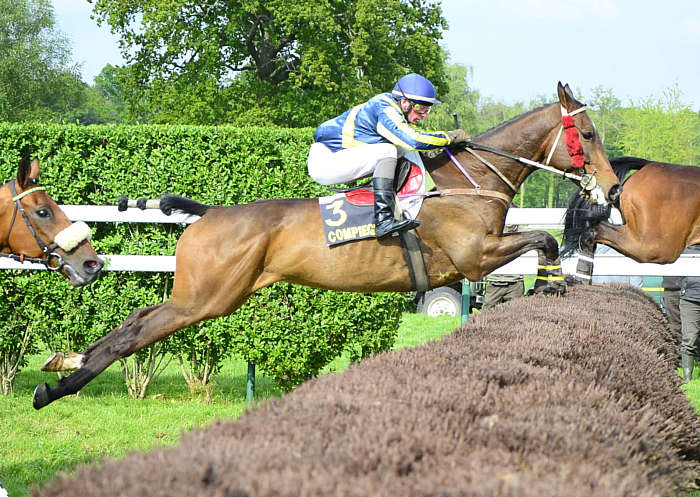 Pronostic Quinté du Samedi 25 Octobre 2025