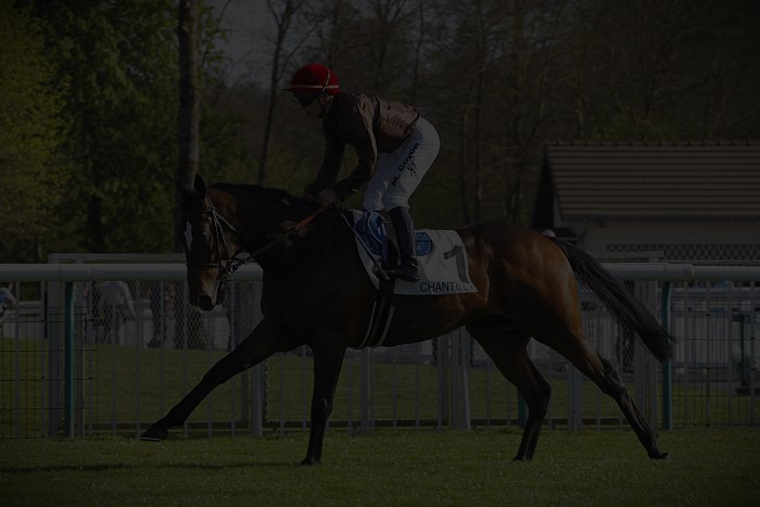 Pronostic Quinté du Mardi 28 Octobre 2025