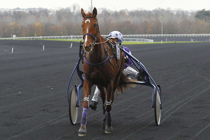 Pronostic Quinté du Jeudi 30 Octobre 2025