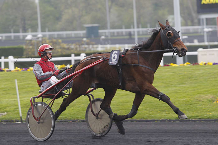 Pronostic Quinté du Vendredi 31 Octobre 2025