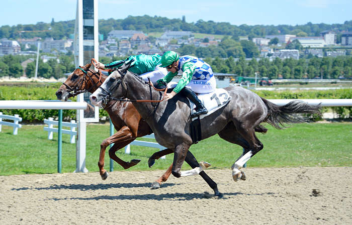 Quinté Pronostic du Dimanche 02 Novembre 2025