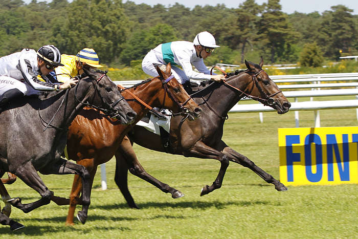 Quinté Pronostic du Lundi 03 Novembre 2025