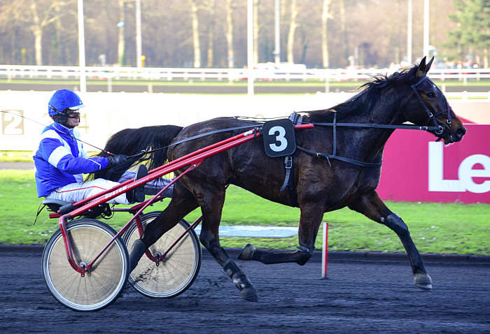 Quinté Pronostic du Vendredi 07 Novembre 2025