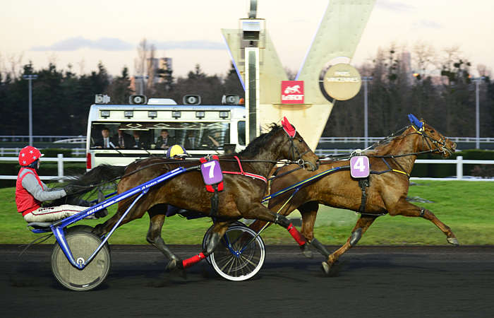 Quinté Pronostic du Samedi 08 Novembre 2025