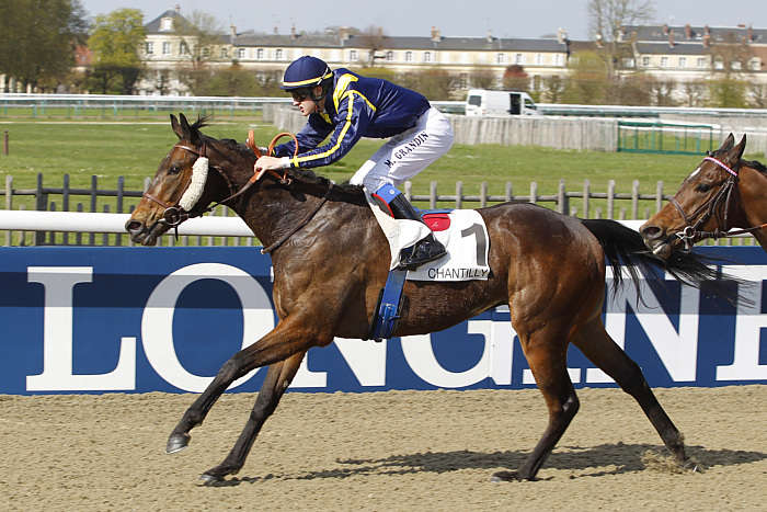 Quinté Pronostic du Lundi 10 Novembre 2025