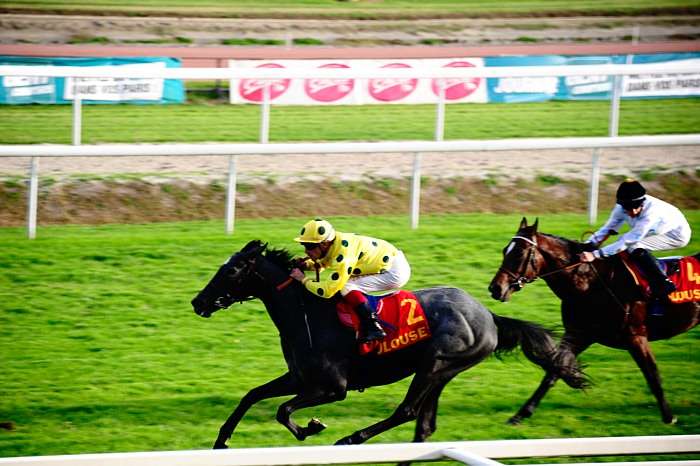 Quinté Pronostic du Mardi 11 Novembre 2025