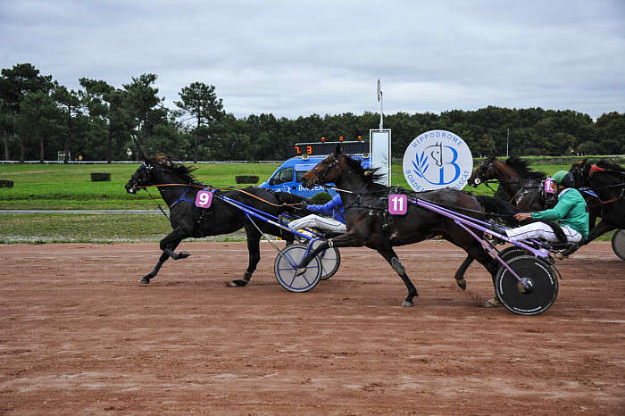 Quinté Pronostic du Mercredi 12 Novembre 2025