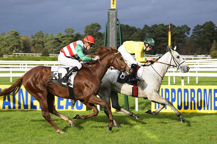 Quinté Pronostic du Jeudi 13 Novembre 2025