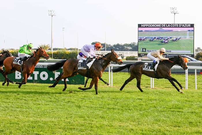 Quinté+ Du 02/02/2026 – Cagnes-sur-Mer – Prix du Var