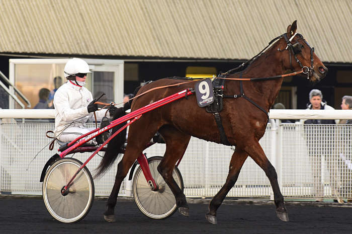 Quinté Du 03/04/2026 – Vincennes – Prix Gratia